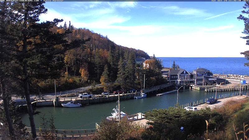 Hall's Harbour