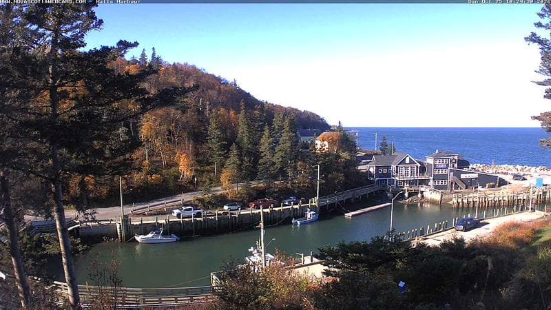 Hall's Harbour