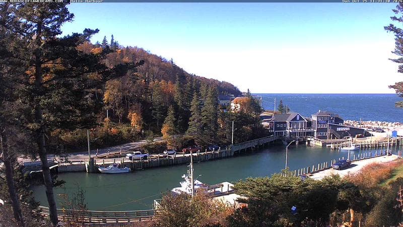 Hall's Harbour