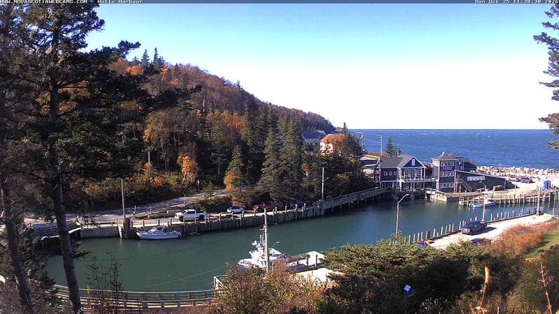 Hall's Harbour