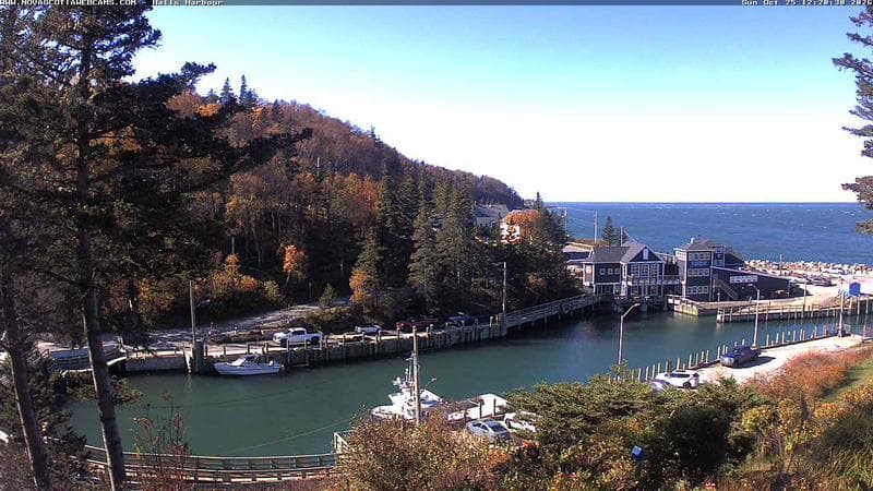 Hall's Harbour