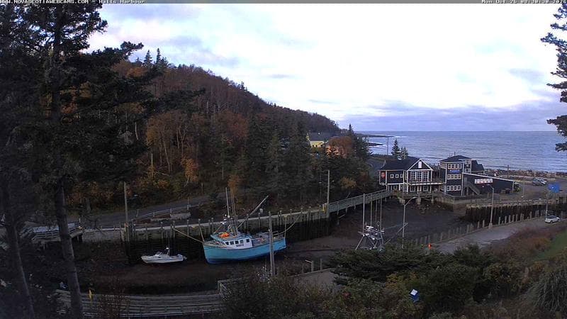 Hall's Harbour