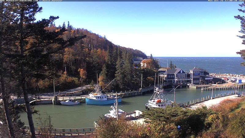 Hall's Harbour