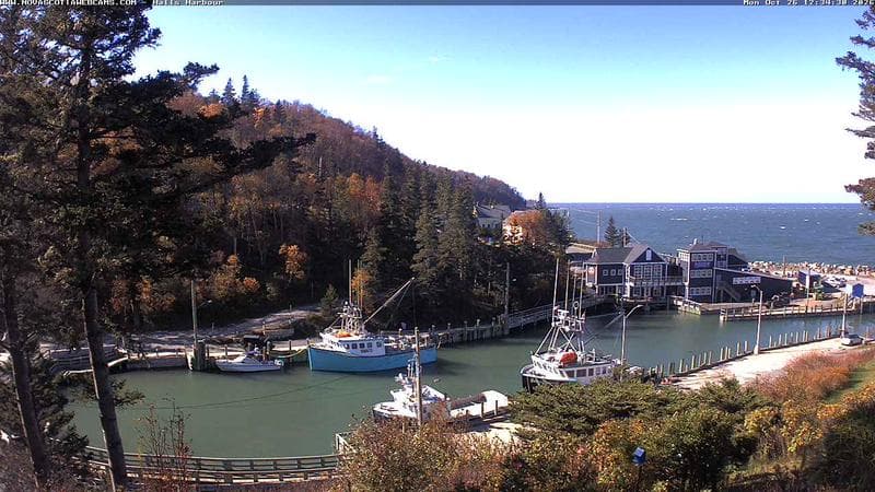 Hall's Harbour