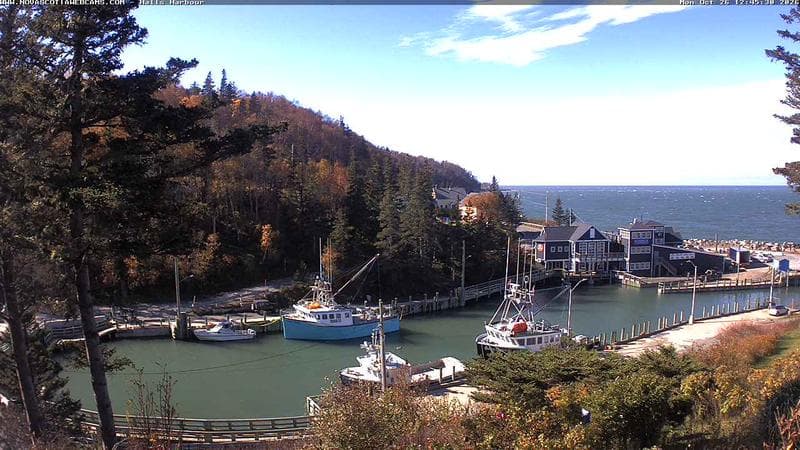 Hall's Harbour