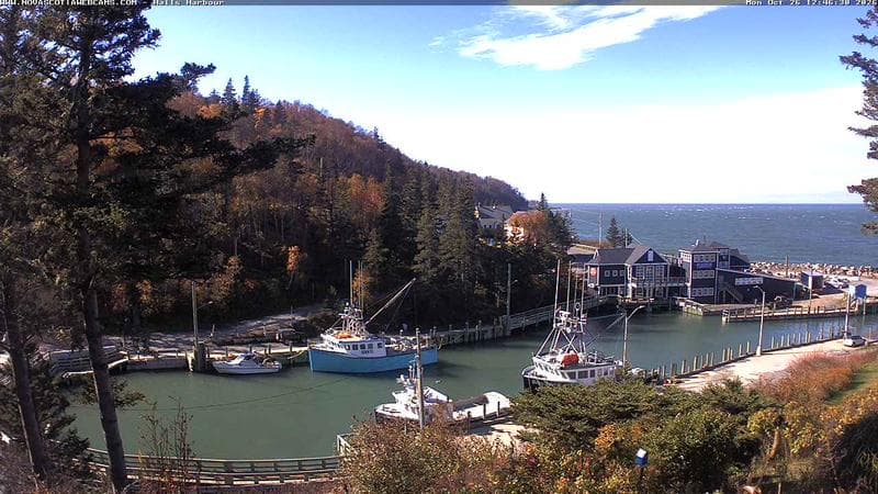 Hall's Harbour