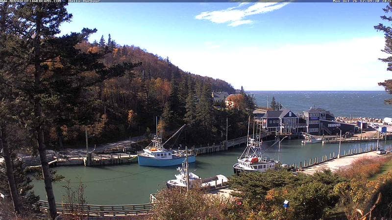 Hall's Harbour