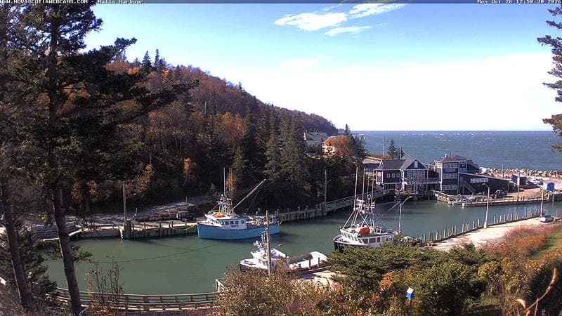 Hall's Harbour