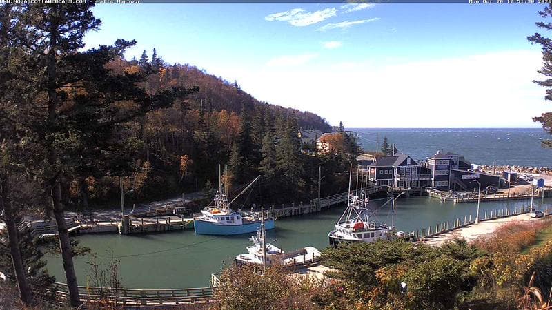 Hall's Harbour