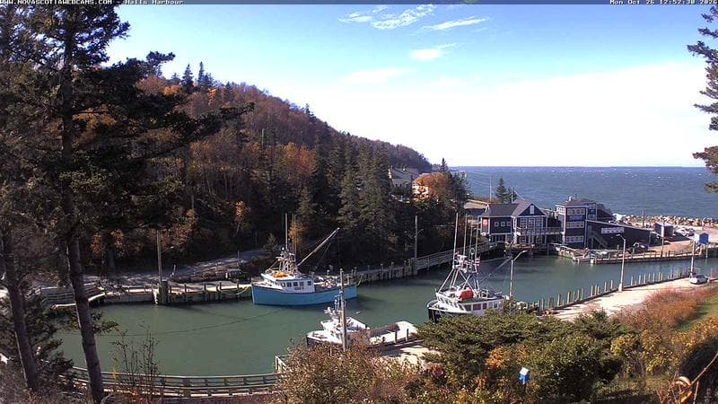 Hall's Harbour