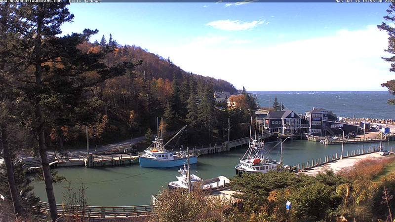 Hall's Harbour