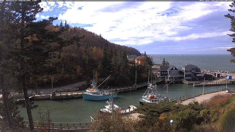 Hall's Harbour