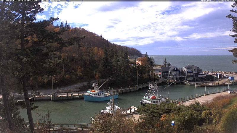 Hall's Harbour