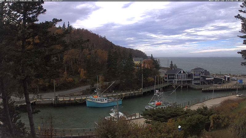Hall's Harbour