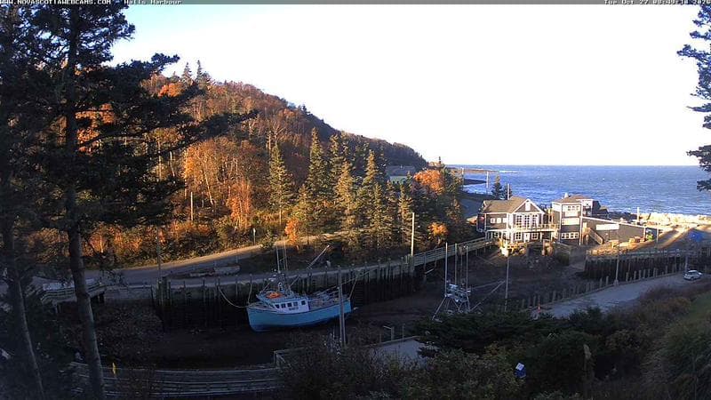 Hall's Harbour
