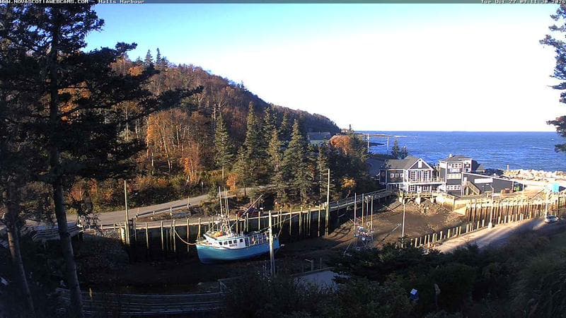 Hall's Harbour