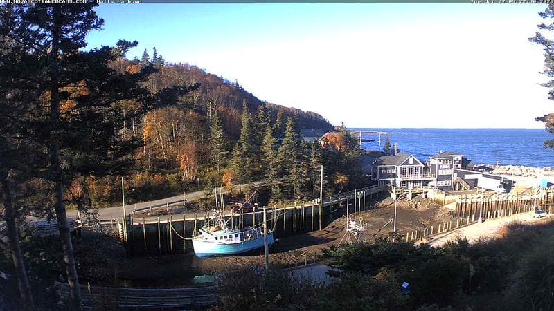 Hall's Harbour