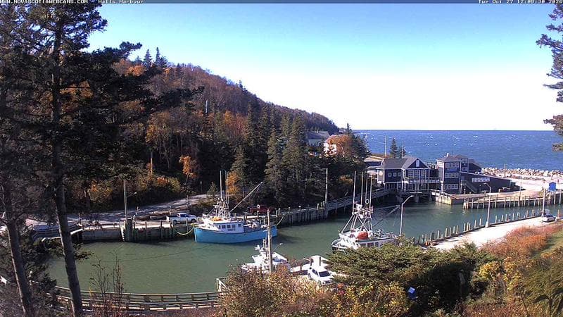 Hall's Harbour