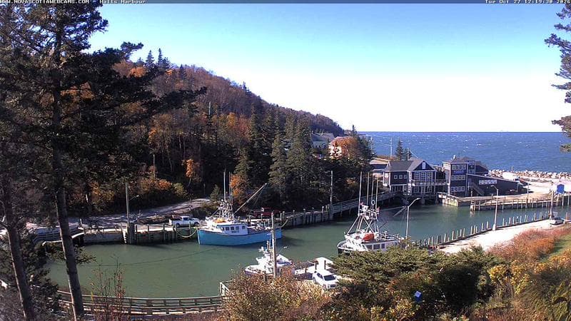 Hall's Harbour