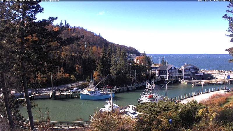Hall's Harbour