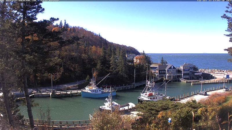 Hall's Harbour