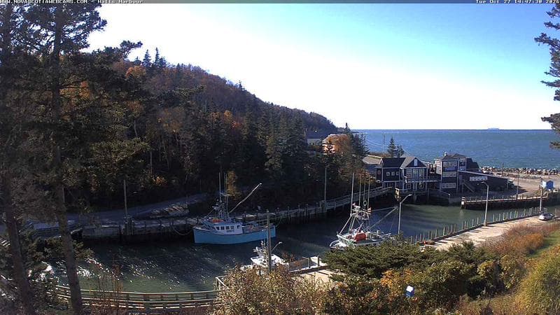 Hall's Harbour