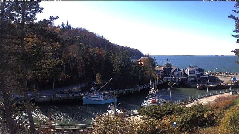Hall's Harbour