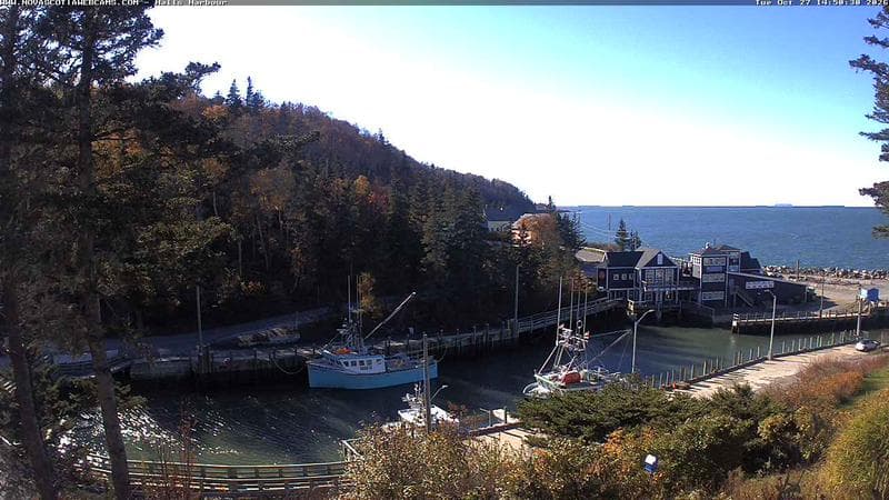 Hall's Harbour