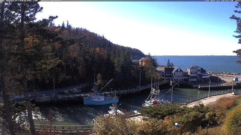 Hall's Harbour