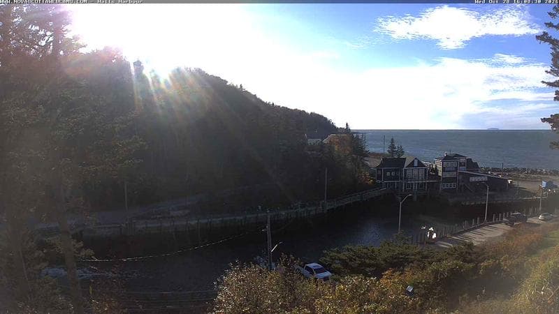Hall's Harbour