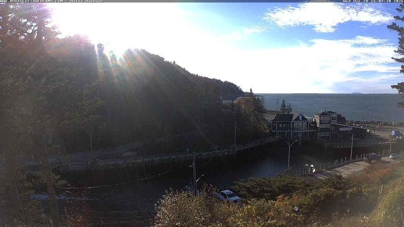 Hall's Harbour