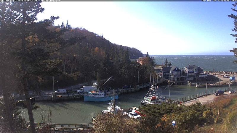 Hall's Harbour