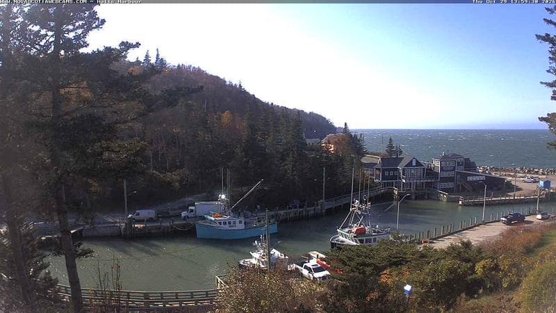 Hall's Harbour