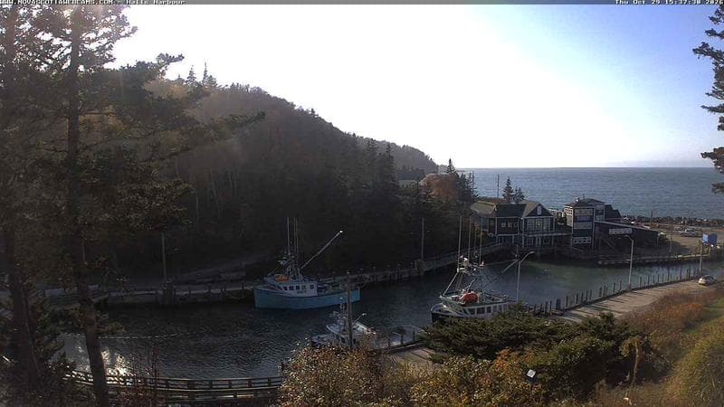 Hall's Harbour