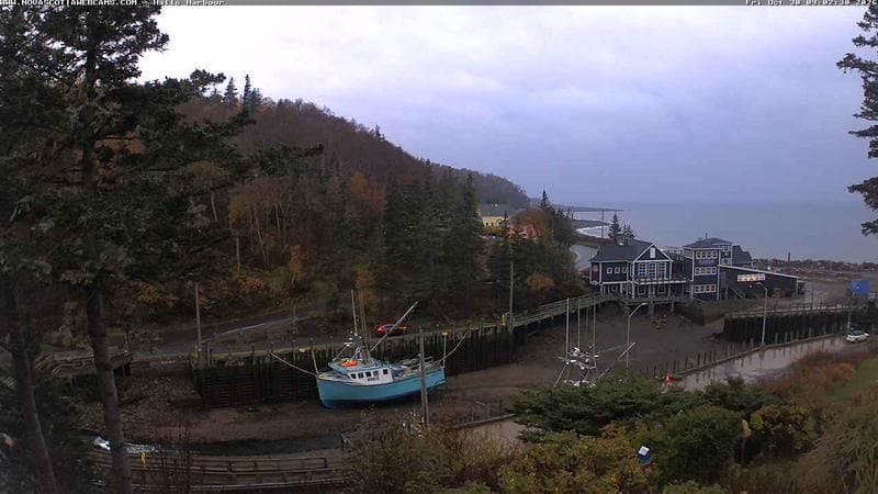 Hall's Harbour