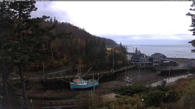 Hall's Harbour