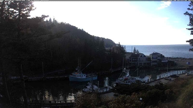 Hall's Harbour