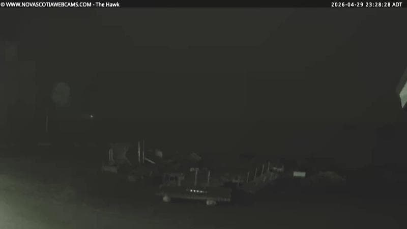 The Hawk