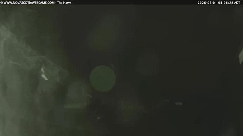 The Hawk