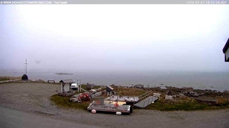 The Hawk