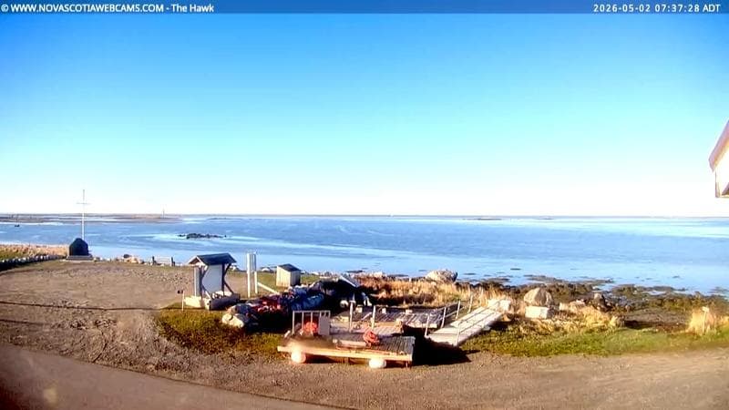 The Hawk