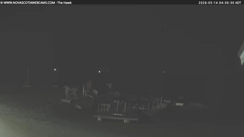 The Hawk