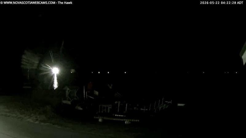 The Hawk
