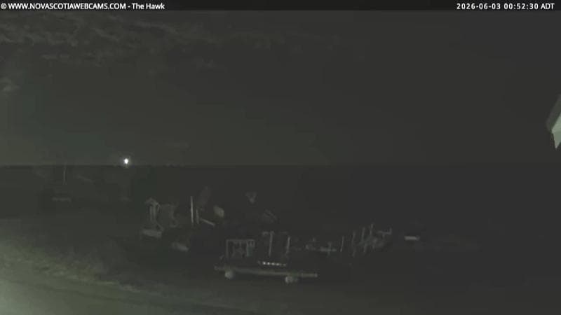 The Hawk