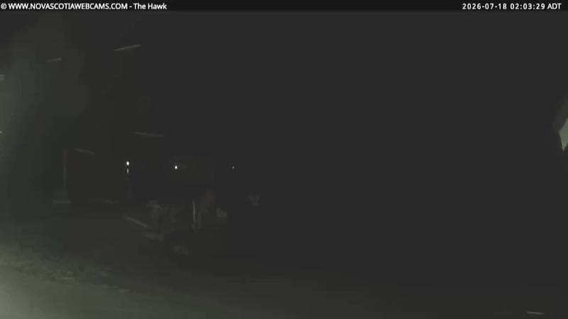The Hawk