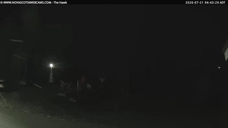 The Hawk