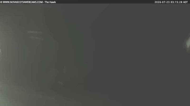 The Hawk