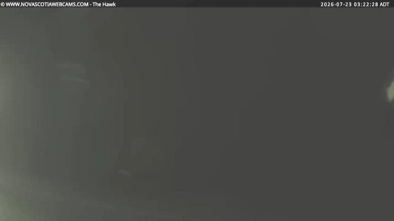 The Hawk