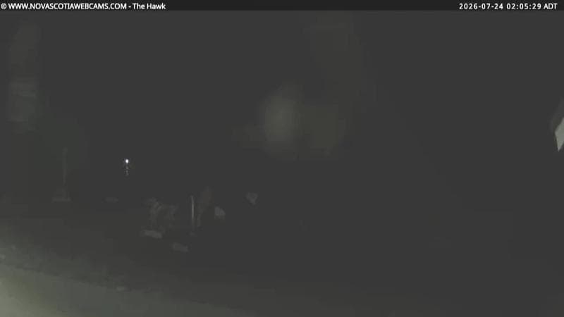 The Hawk