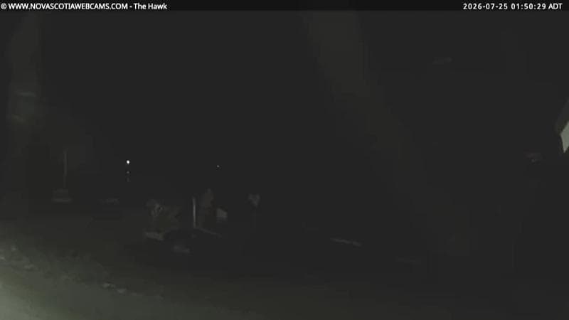The Hawk